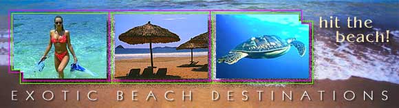 RIBO GROUP TRAVEL
